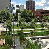 Millennium Library Park